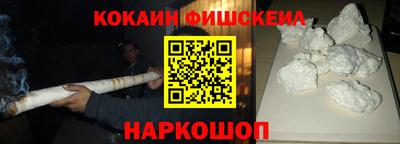 крисы Камышлов
