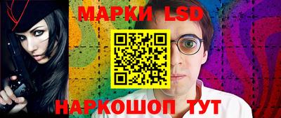 крисы Камышлов