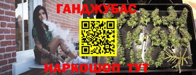 крисы Камышлов