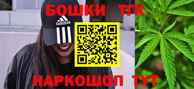 крисы Камышлов