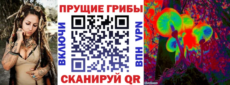 Галлюциногенные грибы Psilocybe  Кимовск 
